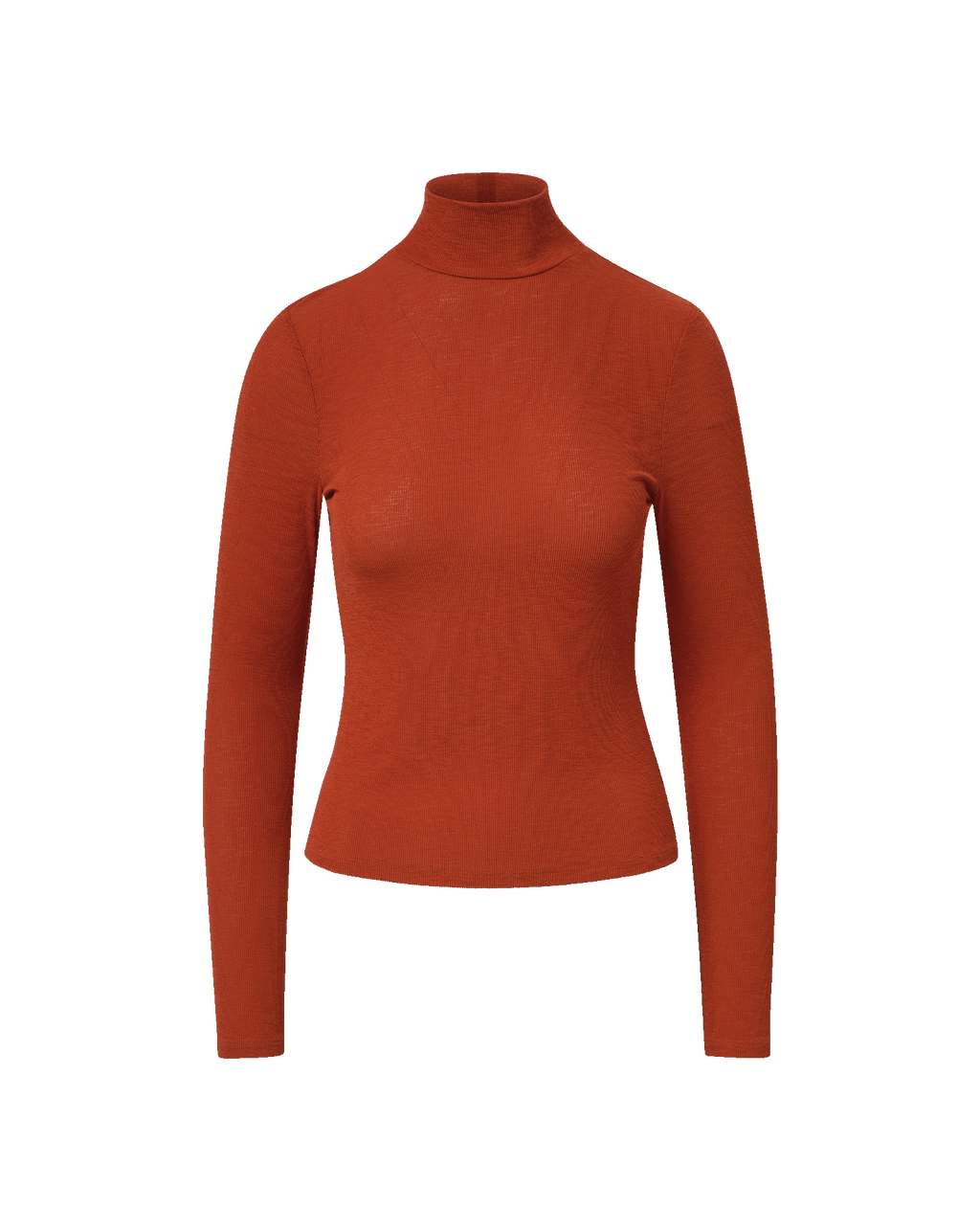 Wyeth Turtleneck Top